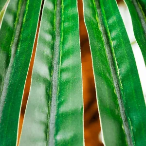 Sommerdeko | Kunstbäume^DecoWoerner Areca Kunstpalme 210 Cm grün