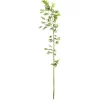 Äste & Zweige^DecoWoerner Bambus-Ast 190 Cm grün