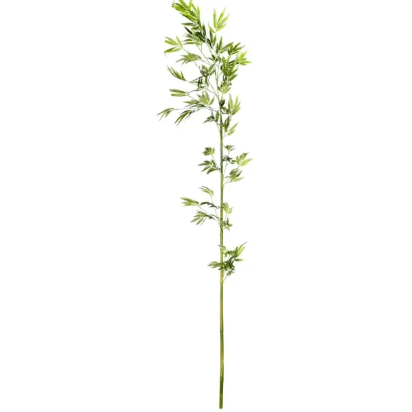 Äste & Zweige^DecoWoerner Bambus-Ast 190 Cm grün