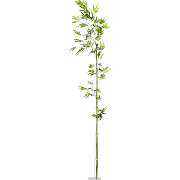 Äste & Zweige^DecoWoerner Bambus-Ast 190 Cm grün