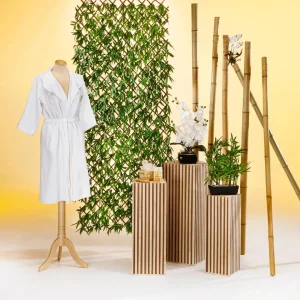 Naturdeko | Themen-Deko^DecoWoerner Bambusstangen Natur, 180 Cm 3 Stück Beige