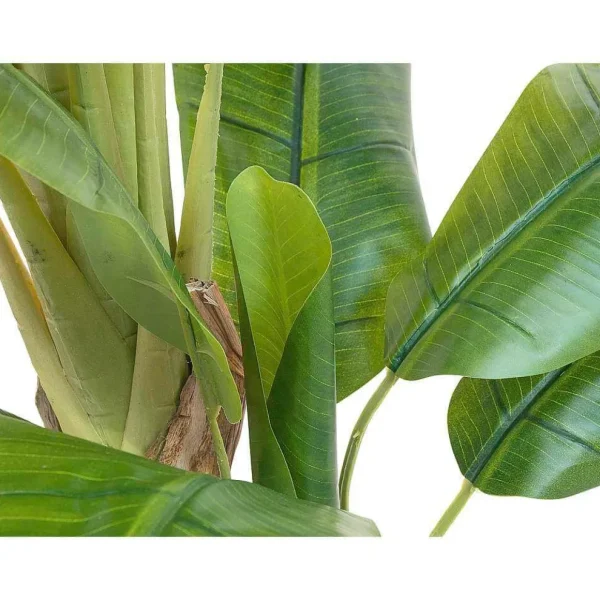 Grünpflanzen | Zimmerpflanzen^DecoWoerner Bananenpflanze 170 Cm grün