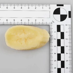 Obst & Früchte^DecoWoerner Bananenscheiben Lebensmittel-Attrappe, Pack à 6 Stück Beige