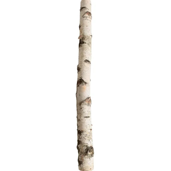 Naturdeko^DecoWoerner Birkenstamm 100 Cm 6-10 Cm Ø Beige
