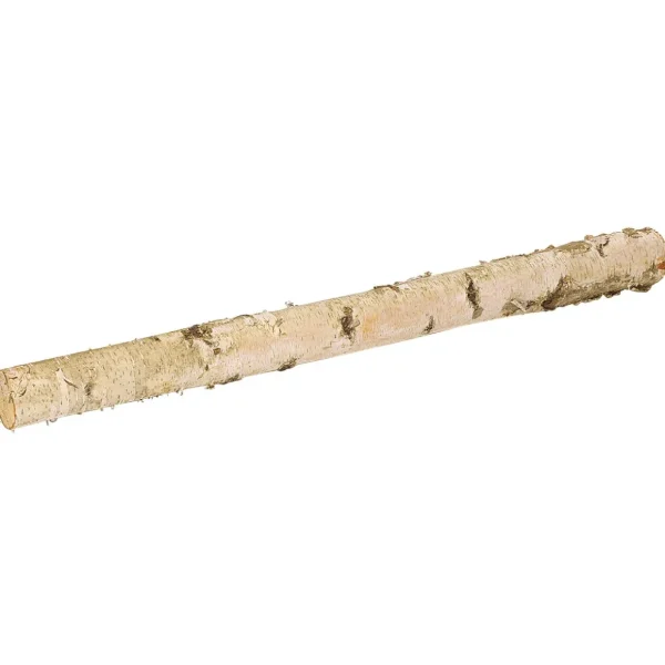 Naturdeko^DecoWoerner Birkenstamm 100 Cm 6-10 Cm Ø Beige