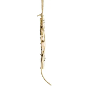 Naturdeko^DecoWoerner Birkenstamm 100 Cm 6-10 Cm Ø Beige