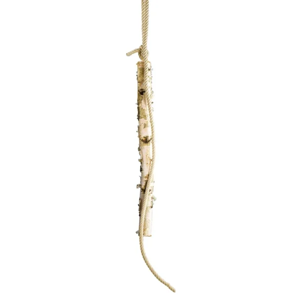 Naturdeko^DecoWoerner Birkenstamm 100 Cm 6-10 Cm Ø Beige