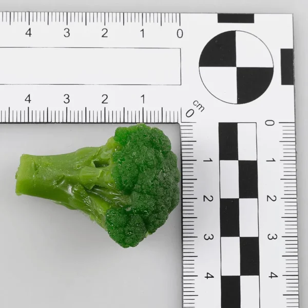 Gerichte & Fast-Food | Gemüse & Kräuter^DecoWoerner Brokkoli Blanchiert Lebensmittel-Attrappe, 100 G grün