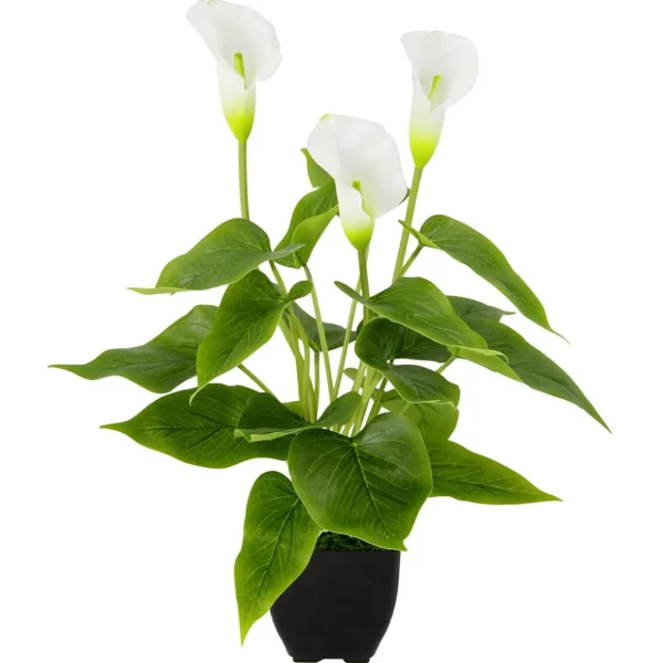 Zimmerpflanzen | Kunstblumen^DecoWoerner Calla Kunstpflanze 40 Cm Im Topf weiß