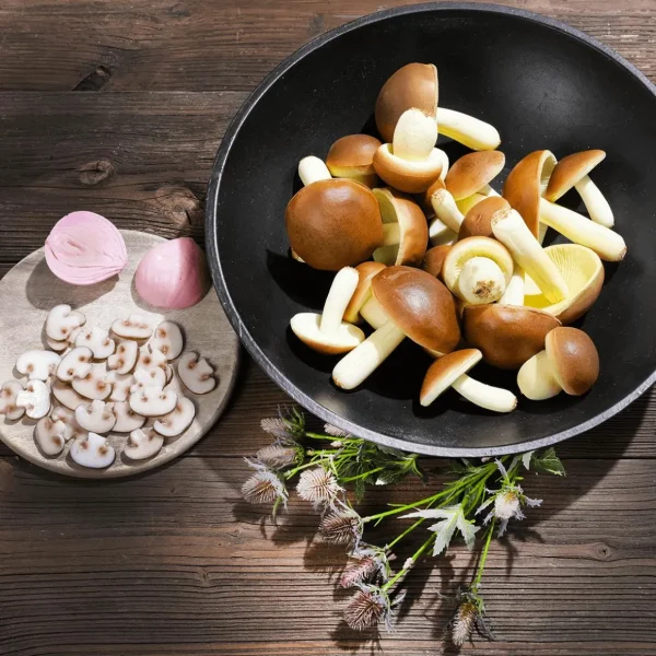 Gemüse & Kräuter^DecoWoerner Champignon-Scheiben Lebensmittel-Attrappe, 12 Stück braun
