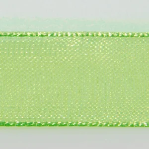 Geschenkband^DecoWoerner Chiffonband Mit Webkante 25mm X 50m grün