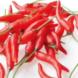 Gemüse & Kräuter^DecoWoerner Chili-Schoten Lebensmittel-Attrappe, 36 Stück rot