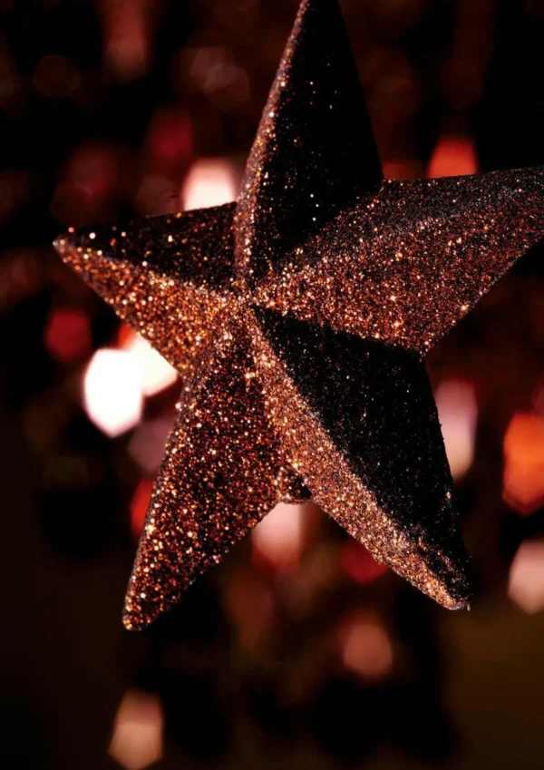 Weihnachtssterne^DecoWoerner Deko Glitzersterne, Pack á 3 Stück braun