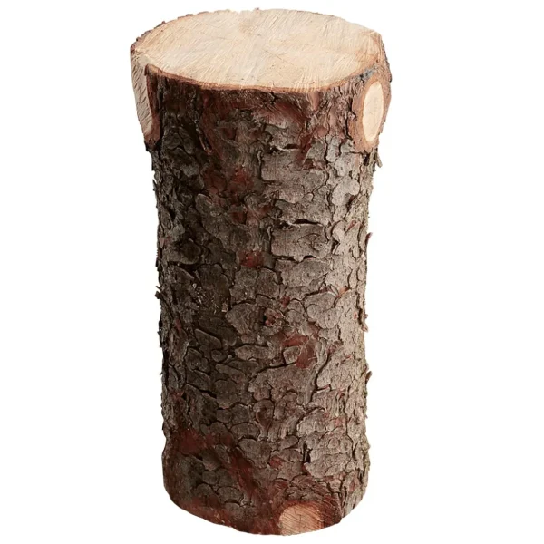 Naturdeko | Herbstdeko^DecoWoerner Deko Holzstamm, 70 Cm braun