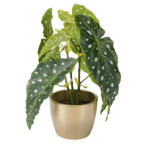 Zimmerpflanzen^DecoWoerner Deko Kunstpflanze Forellenbegonie 30 Cm grün