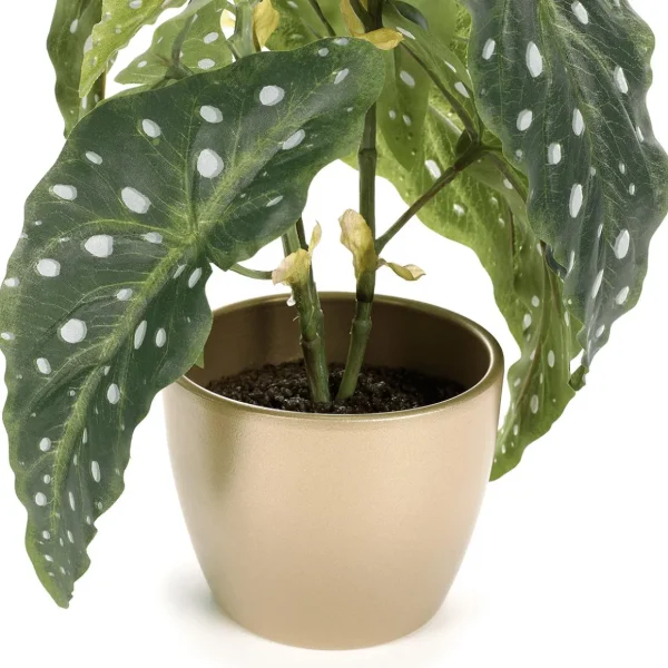 Zimmerpflanzen^DecoWoerner Deko Kunstpflanze Forellenbegonie 30 Cm grün