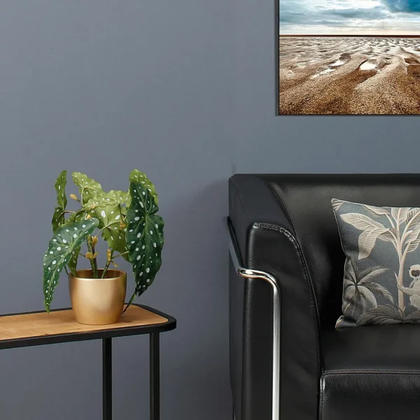 Zimmerpflanzen^DecoWoerner Deko Kunstpflanze Forellenbegonie 30 Cm grün
