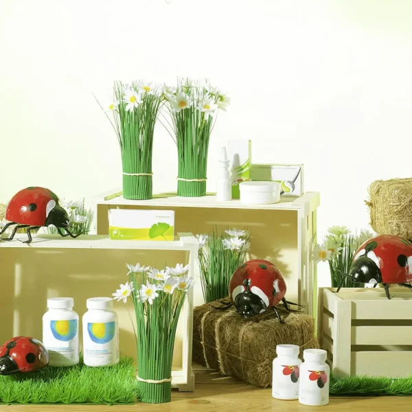 Dekotiere | Frühlingsdeko^DecoWoerner Deko Marienkäfer 15-20 Cm, 2 Stück mehrfarbig