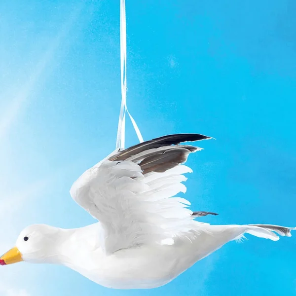 Sommerdeko^DecoWoerner Deko Möwe Fliegend, 43 Cm Breit weiß
