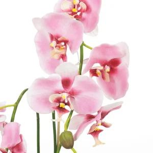 Zimmerpflanzen | Kunstblumen^DecoWoerner Deko Orchidee Im Topf 80 Cm rosa