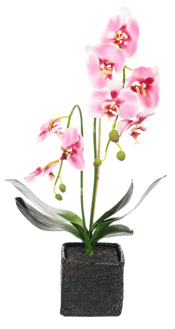 Zimmerpflanzen | Kunstblumen^DecoWoerner Deko Orchidee Im Topf 80 Cm rosa