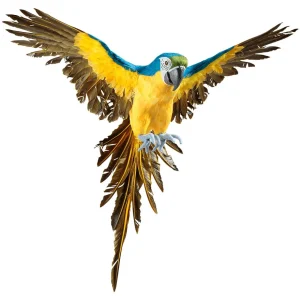 Dekotiere^DecoWoerner Deko Papagei -gelb 77 Cm Lang blau