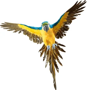 Dekotiere^DecoWoerner Deko Papagei -gelb 77 Cm Lang blau
