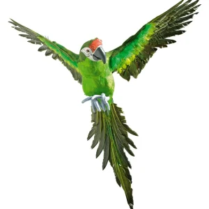Dekotiere^DecoWoerner Deko Papagei 77 Cm Lang grün