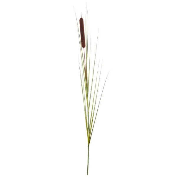 Herbstdeko | Sommerdeko^DecoWoerner Deko Schilfgras, Pack á 3 Stück grün