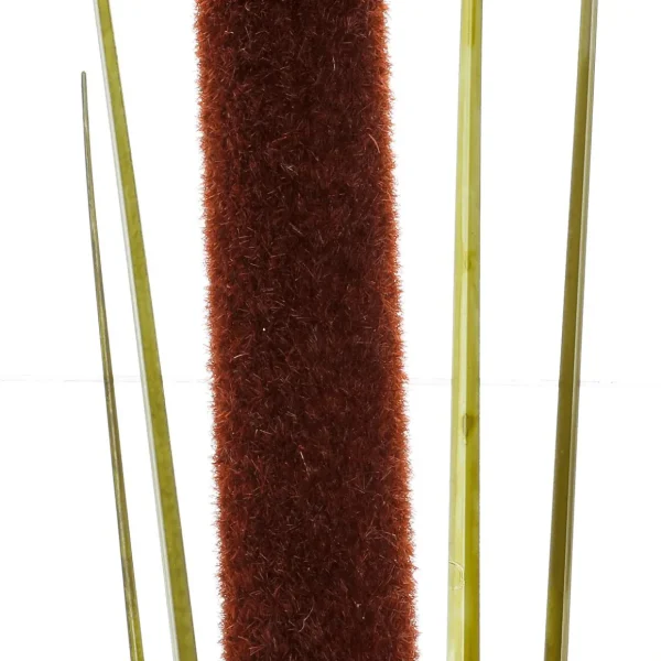 Herbstdeko | Sommerdeko^DecoWoerner Deko Schilfgras, Pack á 3 Stück grün