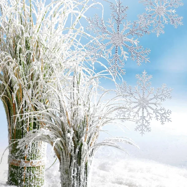 Winterdeko^DecoWoerner Deko Schneeflocken, Pack à 3 Stück transparent
