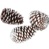 Streudeko^DecoWoerner Deko Zapfen 15 Cm 3 Stück braun