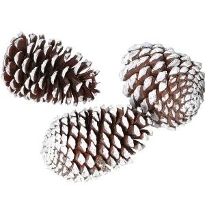 Streudeko^DecoWoerner Deko Zapfen 15 Cm 3 Stück braun