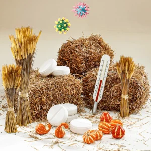 Herbstdeko | Gemüse & Kräuter^DecoWoerner Deko Zierkürbisse, Pack à 4 Stück orange