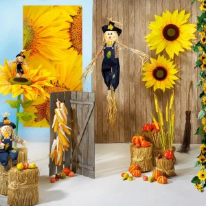 Herbstdeko | Gemüse & Kräuter^DecoWoerner Deko Zierkürbisse, Pack à 4 Stück orange