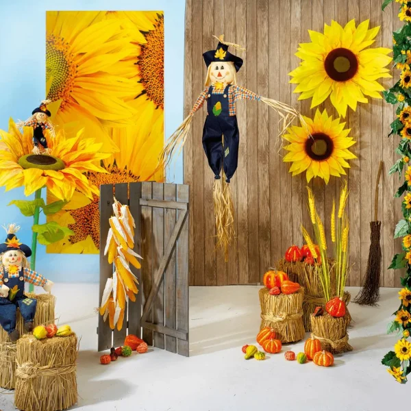 Herbstdeko | Gemüse & Kräuter^DecoWoerner Deko Zierkürbisse, Pack à 4 Stück orange