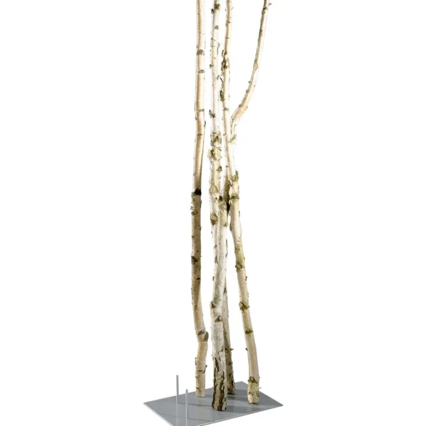 Naturdeko^DecoWoerner Deko-Birkenstämme 220 Cm, 6 Stück