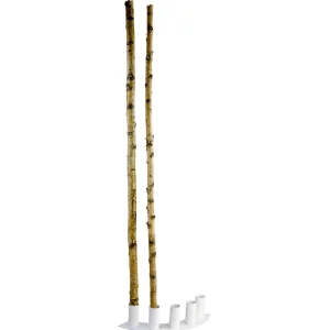 Naturdeko^DecoWoerner Deko-Birkenstämme 220 Cm, 6 Stück