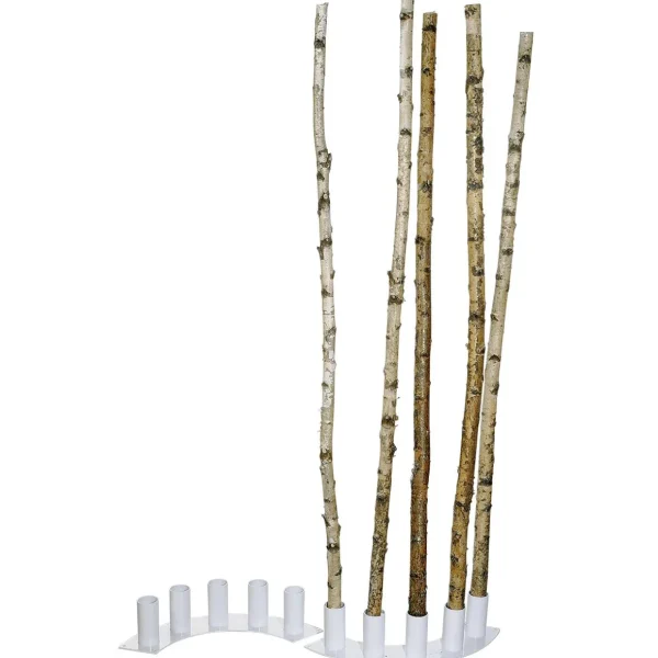Naturdeko^DecoWoerner Deko-Birkenstämme 170 Cm, 5 Stück Beige