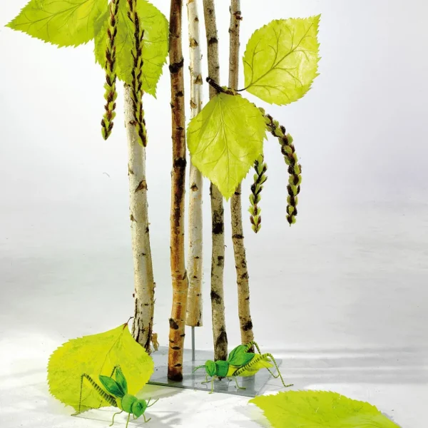 Naturdeko^DecoWoerner Deko-Birkenstämme 220 Cm, 6 Stück