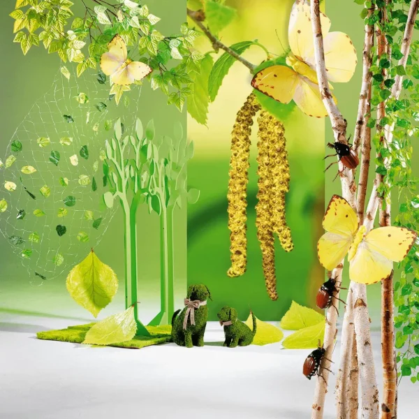 Naturdeko^DecoWoerner Deko-Birkenstämme 220 Cm, 6 Stück