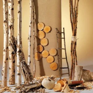 Naturdeko^DecoWoerner Deko-Birkenstämme 220 Cm, 6 Stück