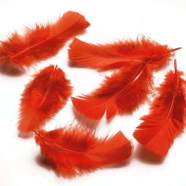Streudeko^DecoWoerner Dekofedern , 20 G rot