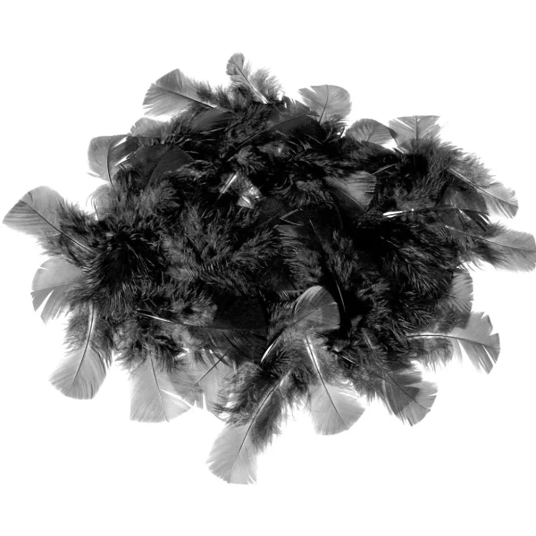 Streudeko^DecoWoerner Dekofedern , 20 G schwarz