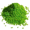 Streudeko | Pflanzengefäße & Dekorationshilfen^DecoWoerner Dekogranulat, 1 Kg grün