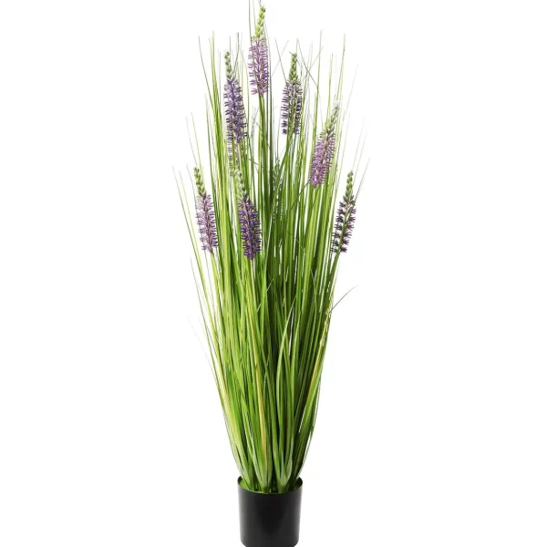 Dekogras^DecoWoerner Dekogras Mit Lavendel Im Topf 100 Cm grün