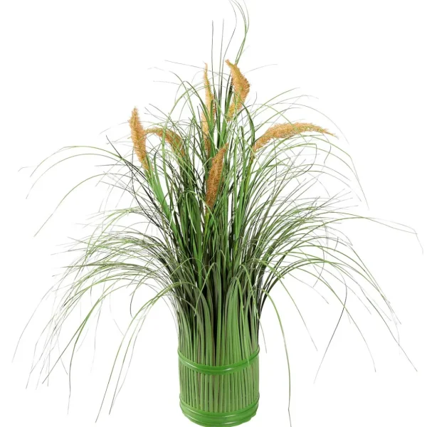 Frühlingsdeko | Dekogras^DecoWoerner Dekogras Mit Schilfblüten, 50 Cm grün
