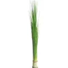 Frühlingsdeko | Dekogras^DecoWoerner Dekogras-Bündel, 90 Cm grün