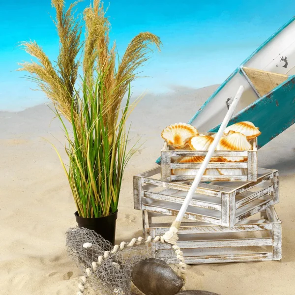Sommerdeko^DecoWoerner Deko-Jakobsmuscheln, Pack à 4 Stück weiß