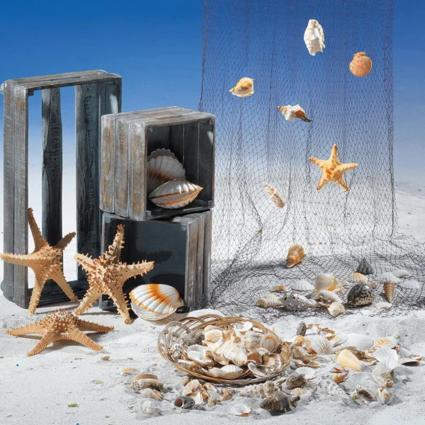 Sommerdeko^DecoWoerner Deko-Jakobsmuscheln, Pack à 4 Stück weiß
